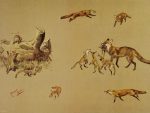 Michael Lyne prints Studies of Foxes