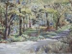 William Fergie Watercolour a Woodland Glade