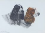 Leon Danchin English Springer Spaniels original pencil signed print etching