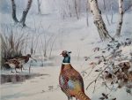 JC Harrison print Pheasant and Snipe in a Winter Landscape