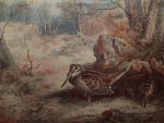 Archibald Thorburn print Woodcock in Woodland