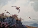 JC Harrison Print Red Grouse over Moorland