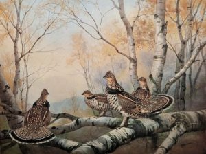 JC Harrison print Ruffed Grouse pencil signed