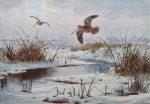 JC Harrison print Snipe over Frozen Marshes