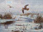 JC Harrison print Snipe over Frozen Marshes