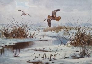 JC Harrison print Snipe over Frozen Marshes