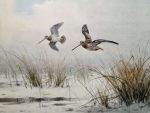 JC Harrison Print Snipe in Flight