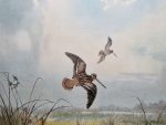 JC Harrison print Snipe over Marshes