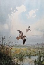 JC Harrison print Snipe over Marshes