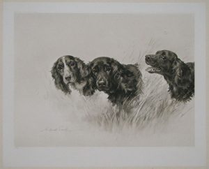 Maud Earl Dog Prints Cocker Spaniels